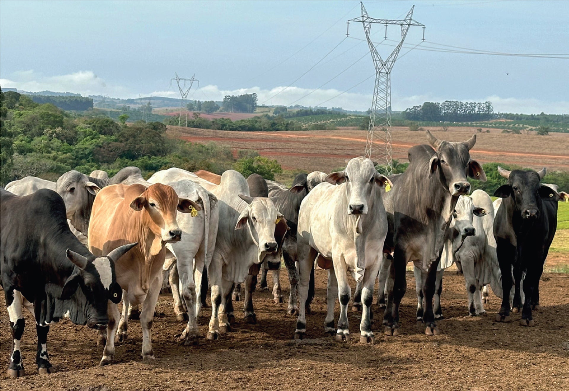Interesse for SpermVital på nye kontinenter