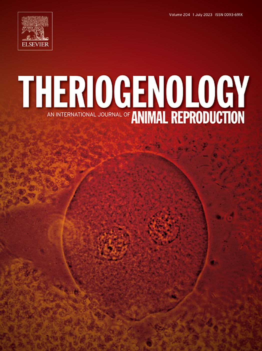 Comparison of sperm adenosine triphosphate content, motility and fertility of immobilized and conventionally cryopreserved Norwegian Red bull semen