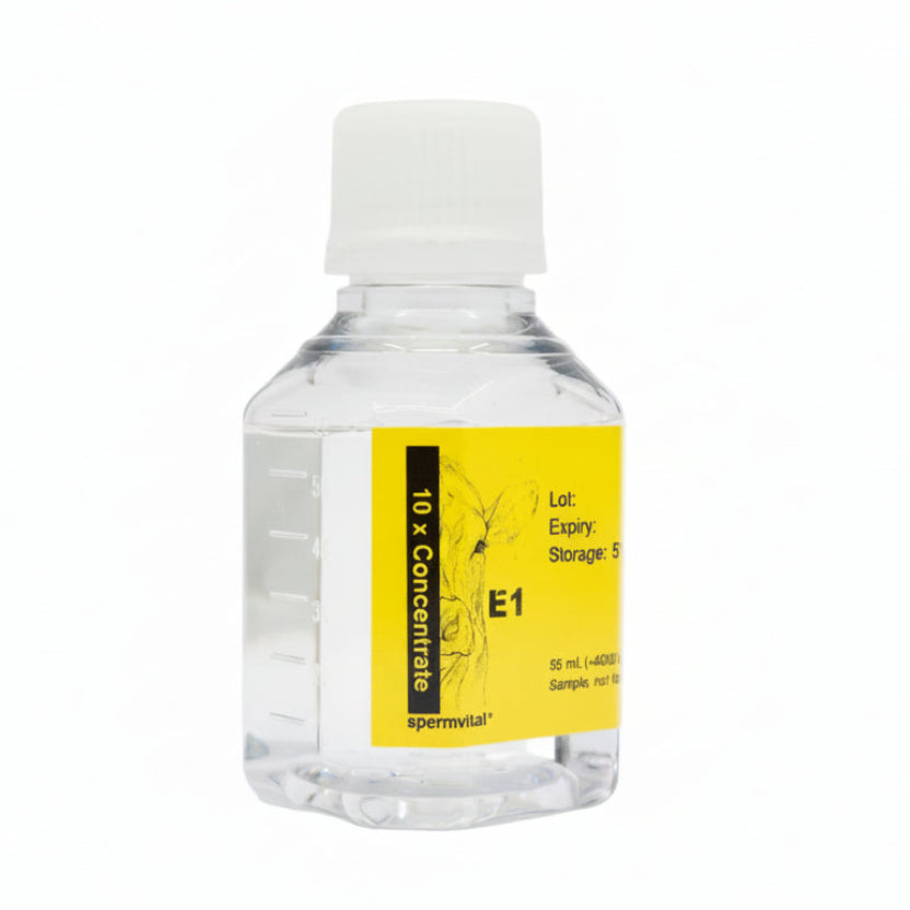 E1 Concentrate
